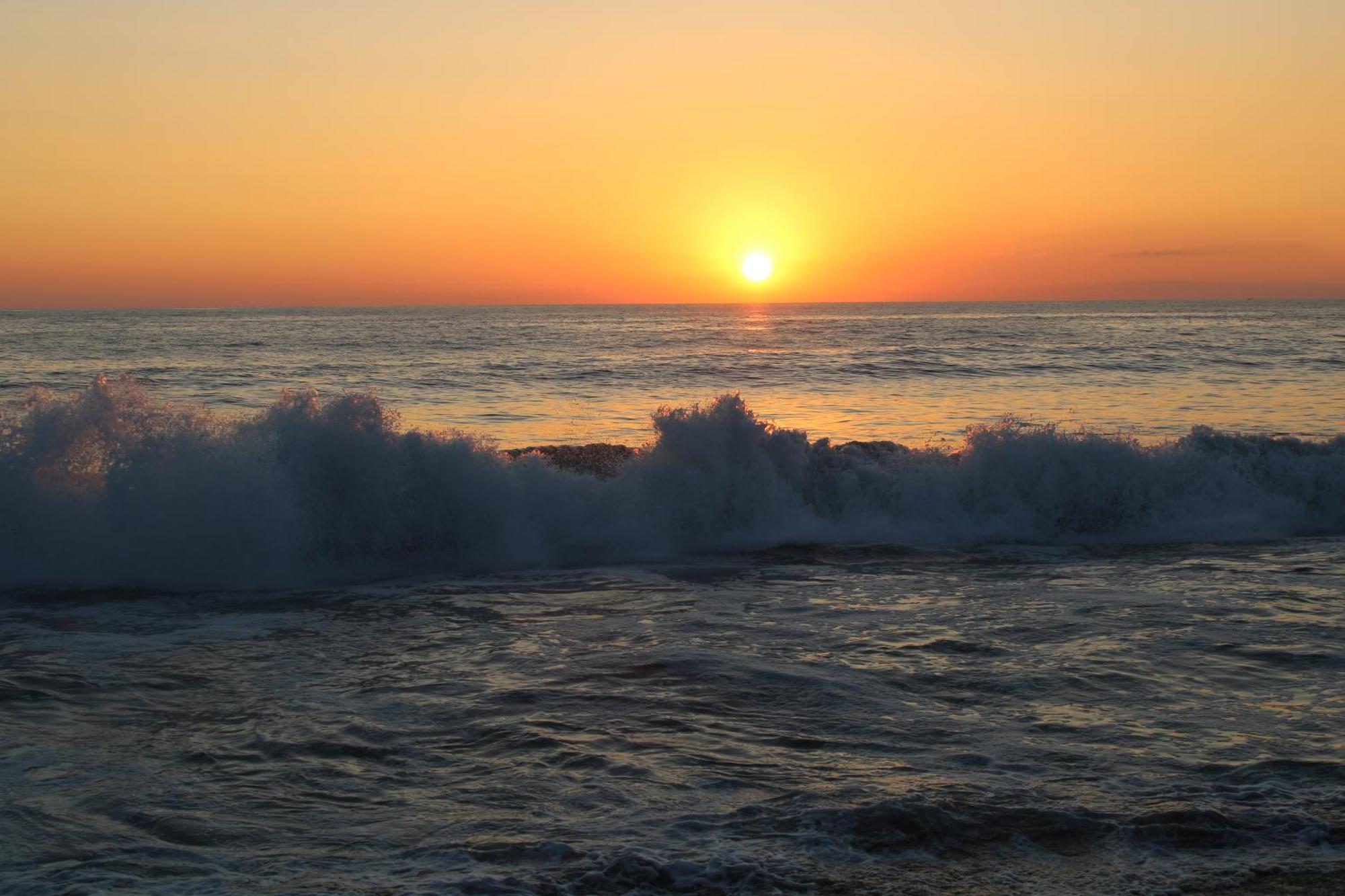 Surf Paradise Zicatela Hotel ปูแอร์โตเอสกอนดิโด ภายนอก รูปภาพ